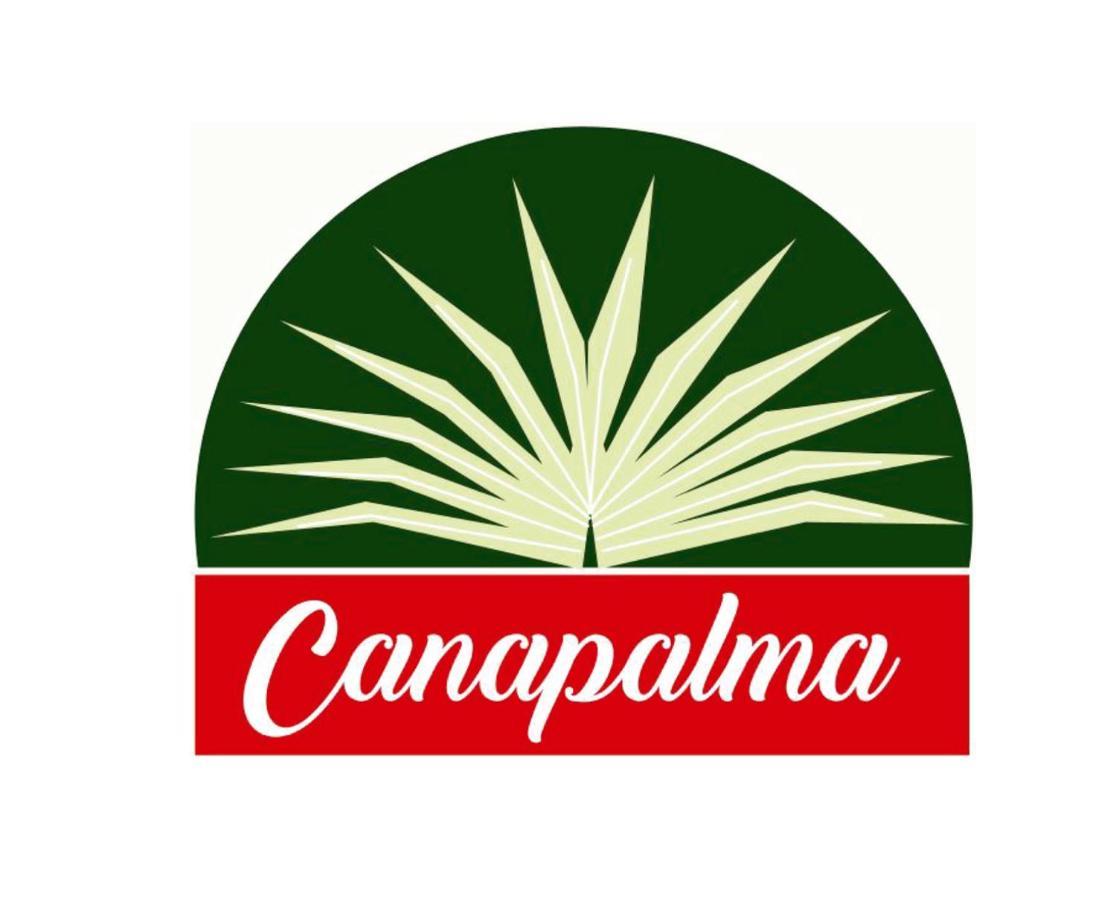 Hotel Cana Palma Zona Colonial サントドミンゴ エクステリア 写真